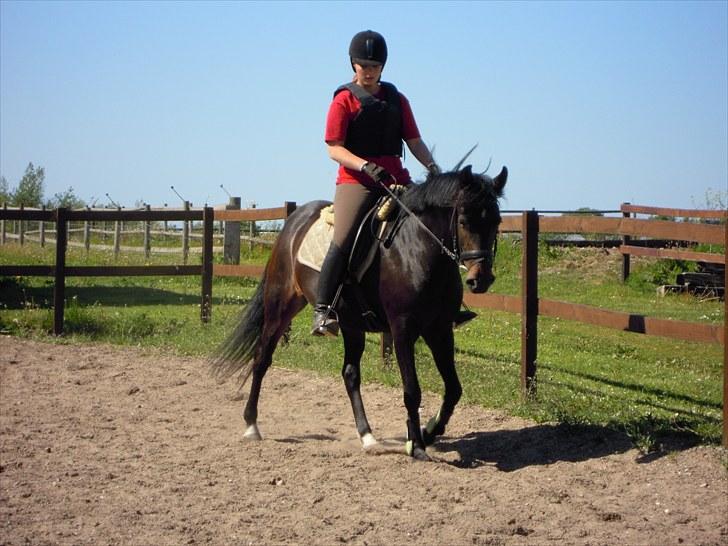 Sommer på Stald Rønbjerg billede 41