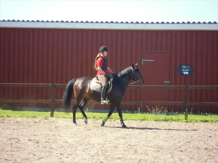 Sommer på Stald Rønbjerg billede 42