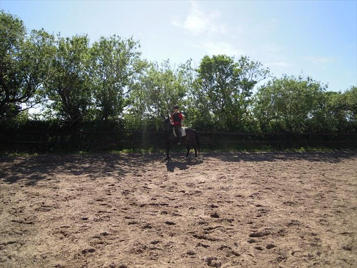 Sommer på Stald Rønbjerg billede 43