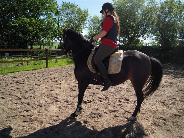 Sommer på Stald Rønbjerg billede 44