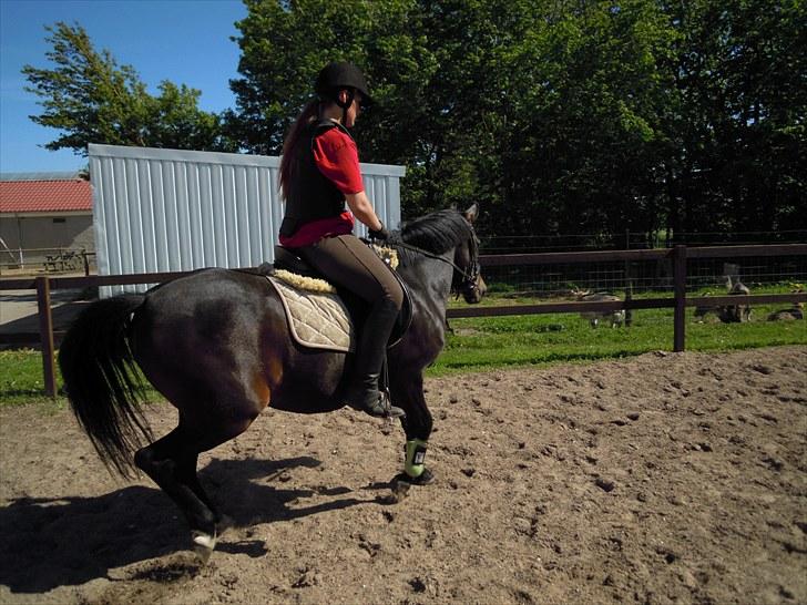 Sommer på Stald Rønbjerg billede 45