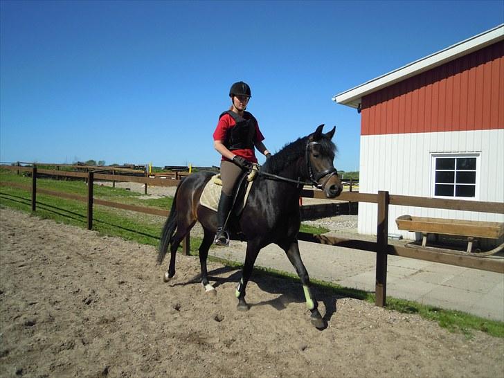 Sommer på Stald Rønbjerg billede 46