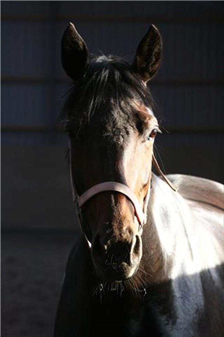 Verona løs på banen! (;  - Smukke Vero'pigen! (: Foto: Camilla Rosenlund (cr-foto) billede 1