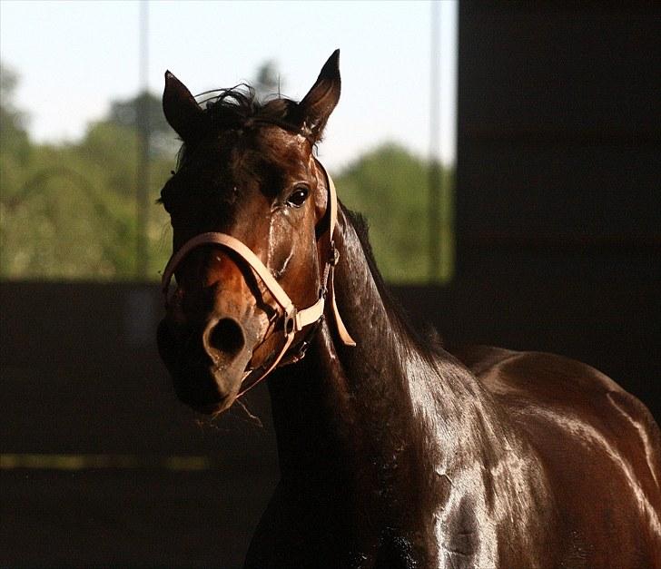 Verona løs på banen! (;  - Uhh, lækre Vero!!! (;  Foto: Camilla Rosenlund (cr-foto) billede 4