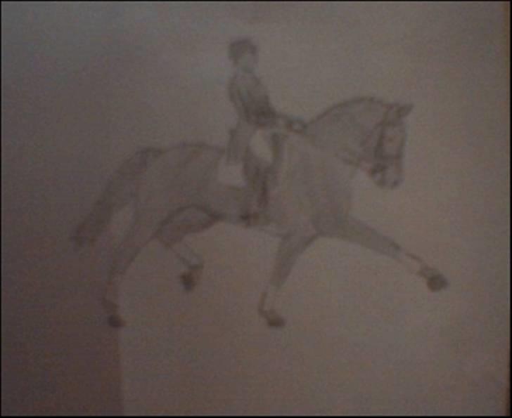 Et par af mine tegninger - En Dressur hest jeg tegnede igår aftes da jeg kedede mig . Ved godt den er lidt mørk. billede 4