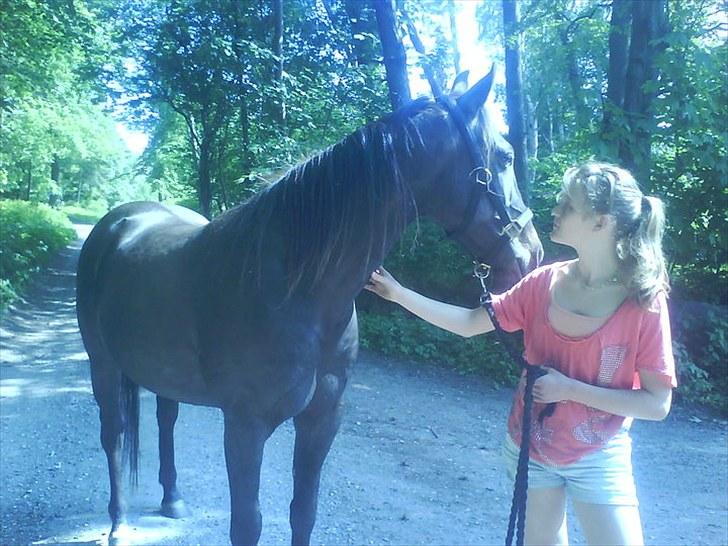 De bedste sommerbilleder :) billede 1