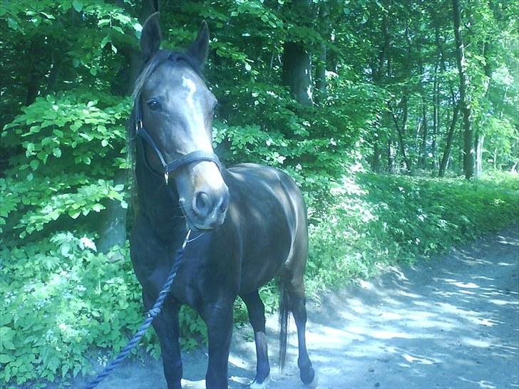 De bedste sommerbilleder :) billede 2