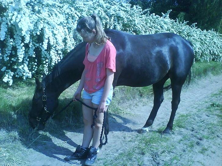 De bedste sommerbilleder :) billede 3