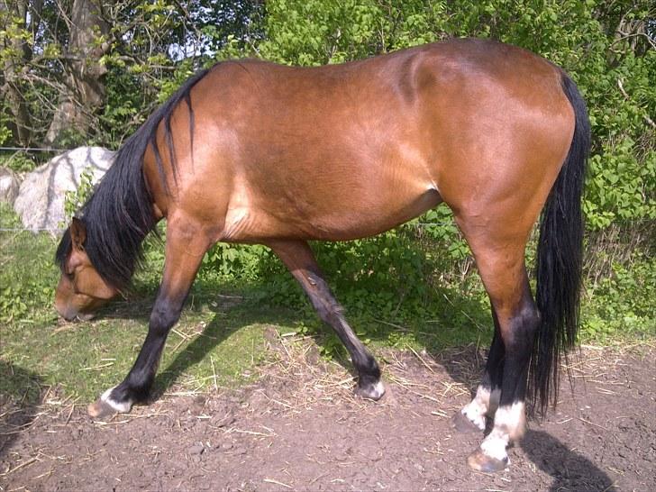 De bedste sommerbilleder :) billede 5