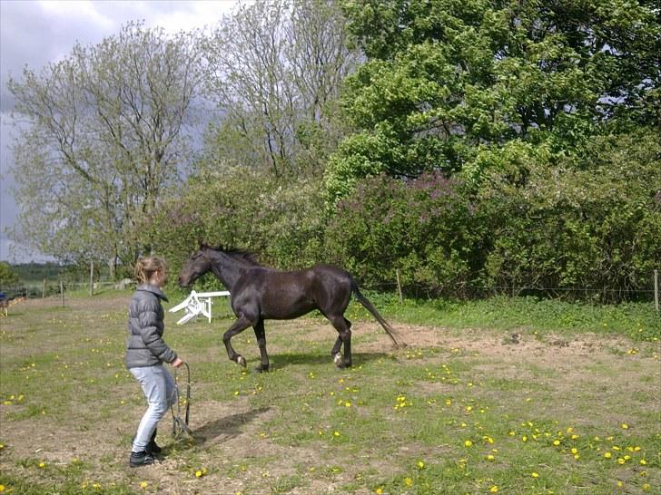 De bedste sommerbilleder :) billede 8