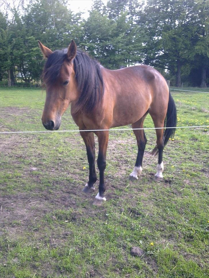 De bedste sommerbilleder :) billede 9