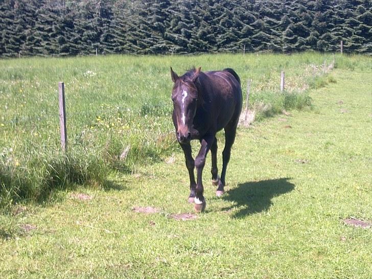 De bedste sommerbilleder :) billede 12