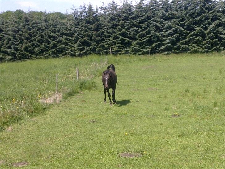 De bedste sommerbilleder :) billede 13