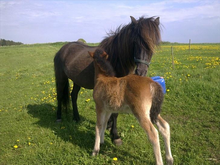 De bedste sommerbilleder :) billede 14