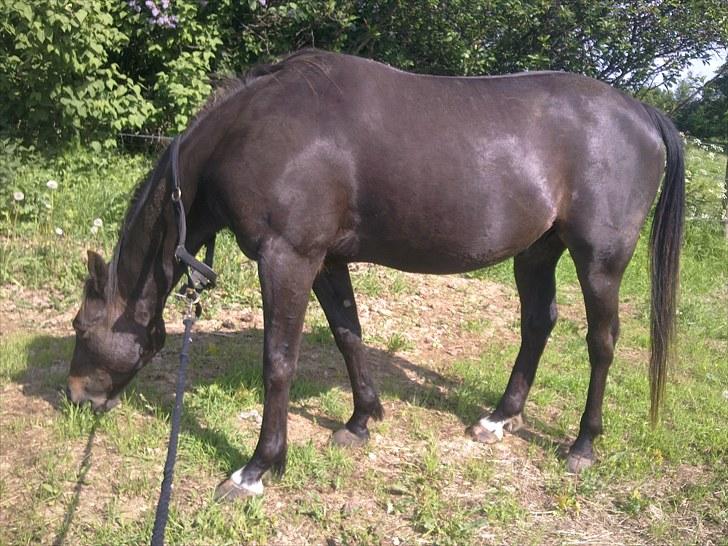 De bedste sommerbilleder :) billede 17