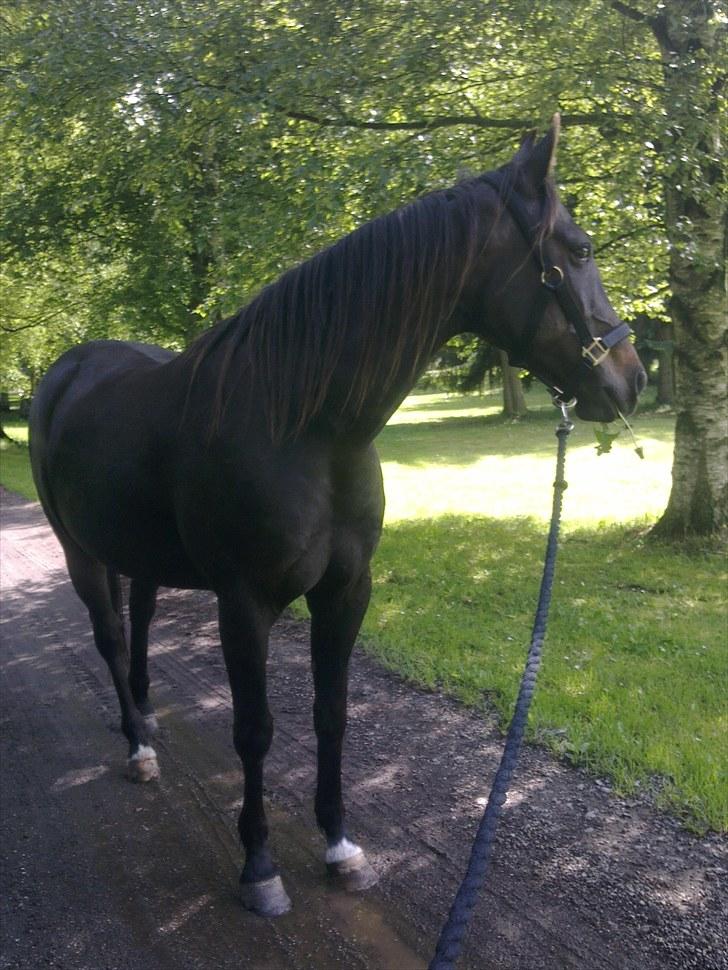 De bedste sommerbilleder :) billede 18