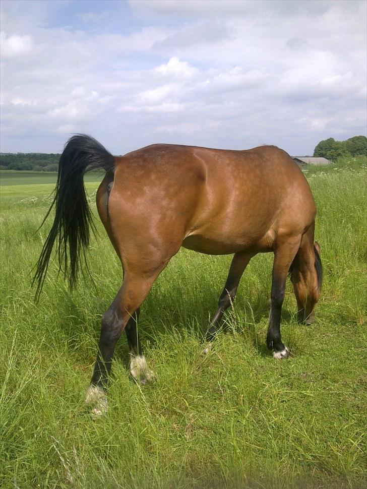 De bedste sommerbilleder :) billede 27