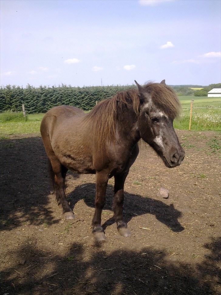 De bedste sommerbilleder :) billede 29