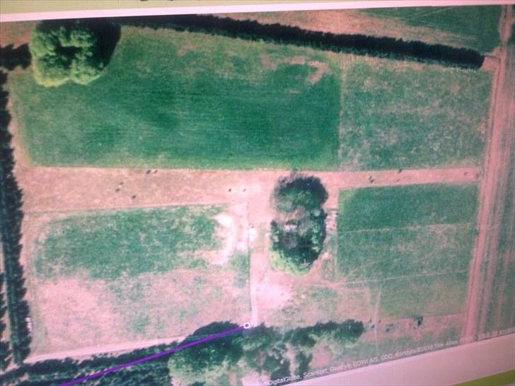 De bedste sommerbilleder :) billede 30