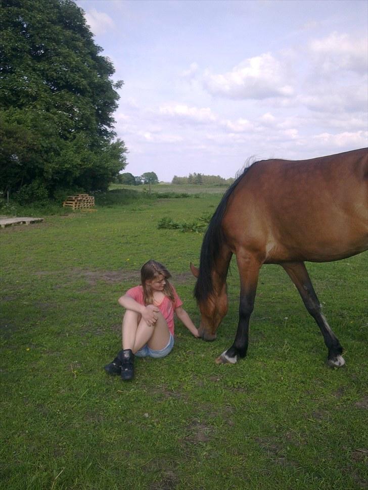 De bedste sommerbilleder :) billede 33