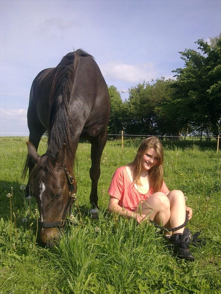 De bedste sommerbilleder :) billede 35