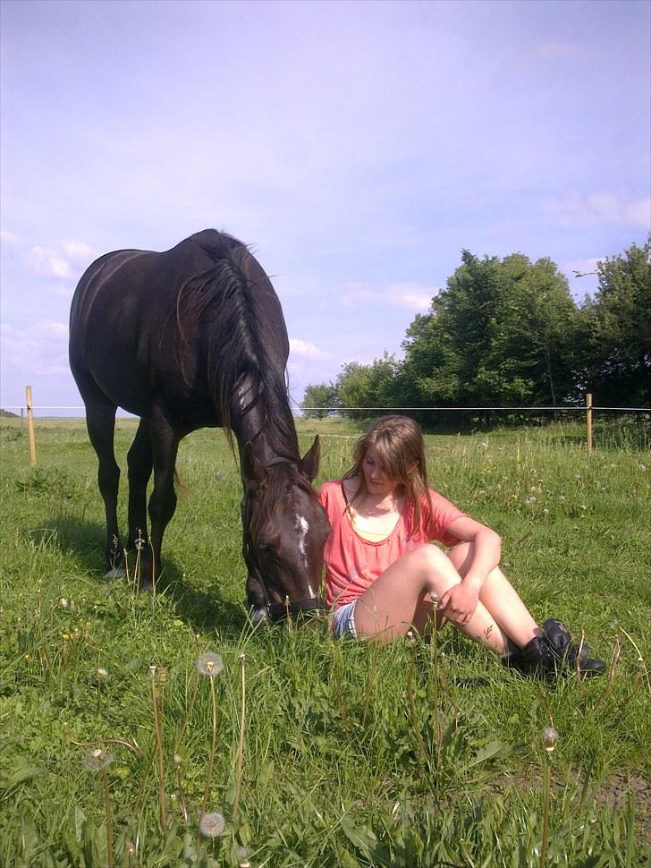 De bedste sommerbilleder :) billede 36