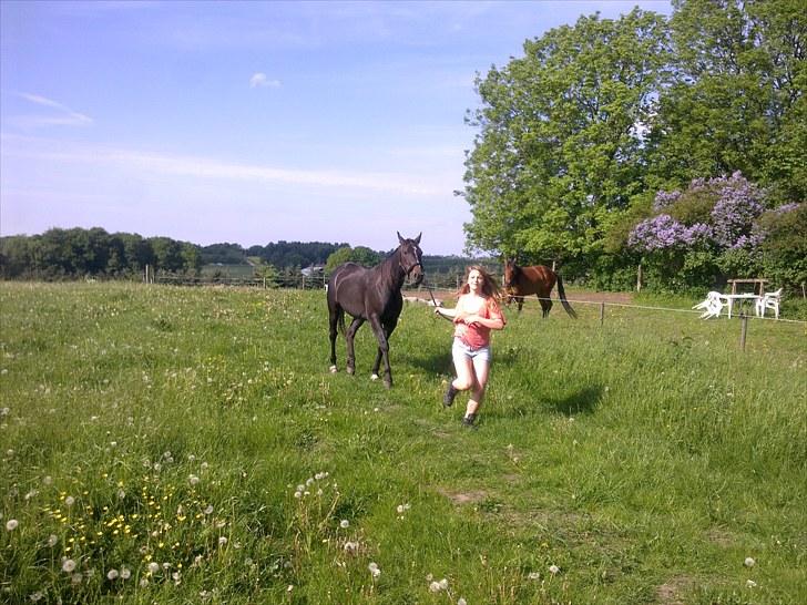 De bedste sommerbilleder :) billede 37