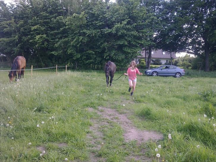 De bedste sommerbilleder :) billede 38