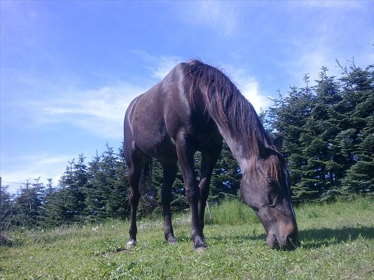 De bedste sommerbilleder :) billede 47