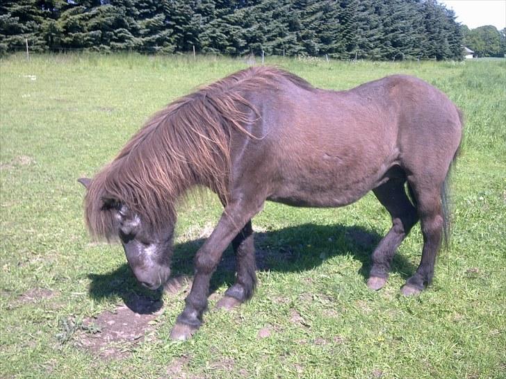 De bedste sommerbilleder :) billede 51