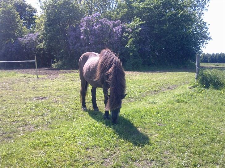 De bedste sommerbilleder :) billede 59