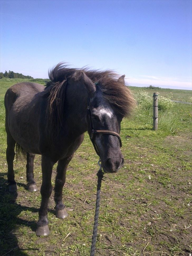 De bedste sommerbilleder :) billede 62