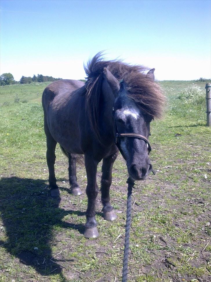 De bedste sommerbilleder :) billede 63