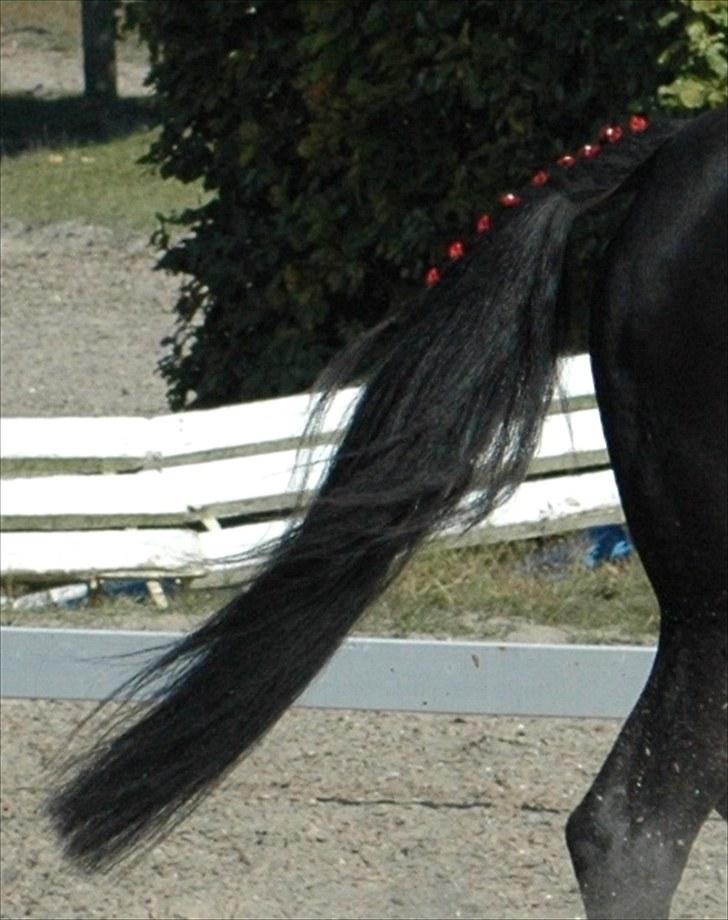 Alt muligt billede 15