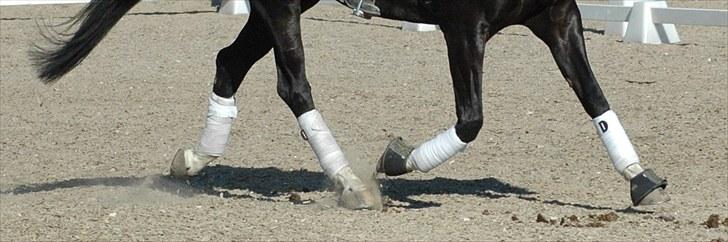 Alt muligt billede 16