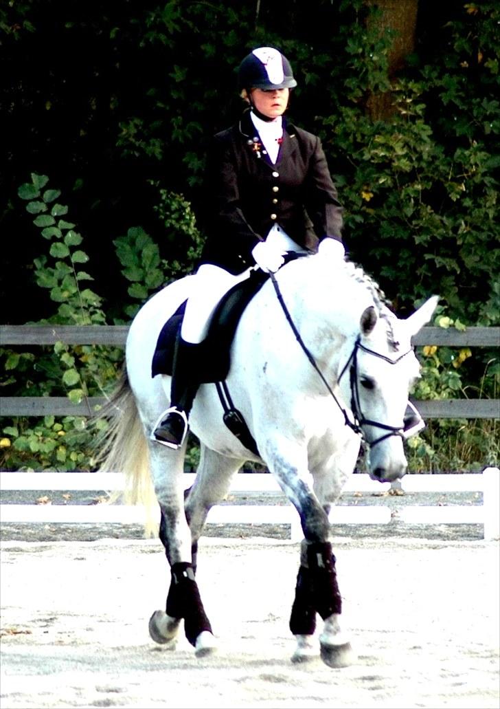 Alt muligt billede 17