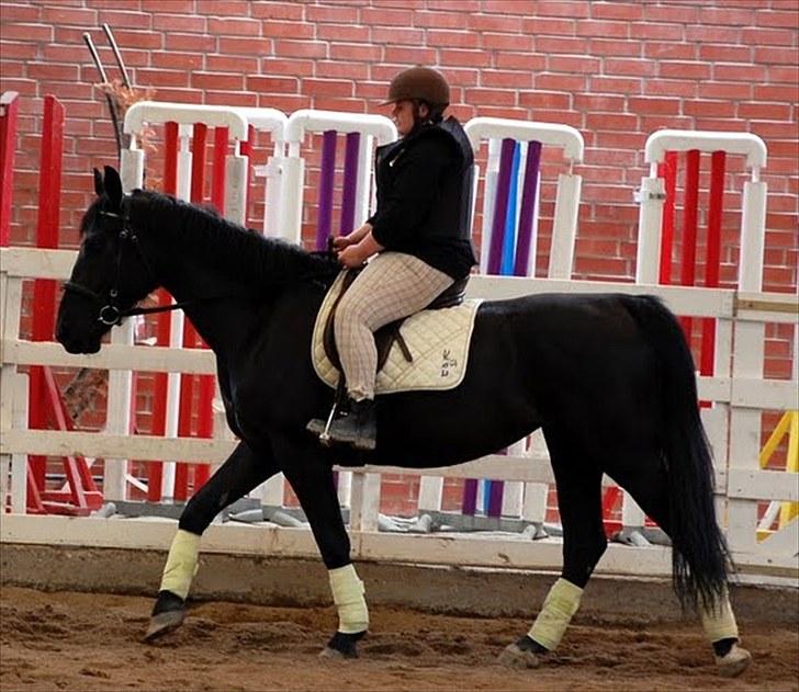 Dressur træning d. 12/6-10 på Pernille + Billeder af Penille ikk billede 1