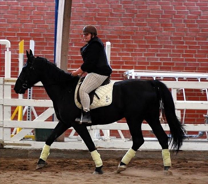 Dressur træning d. 12/6-10 på Pernille + Billeder af Penille ikk billede 2