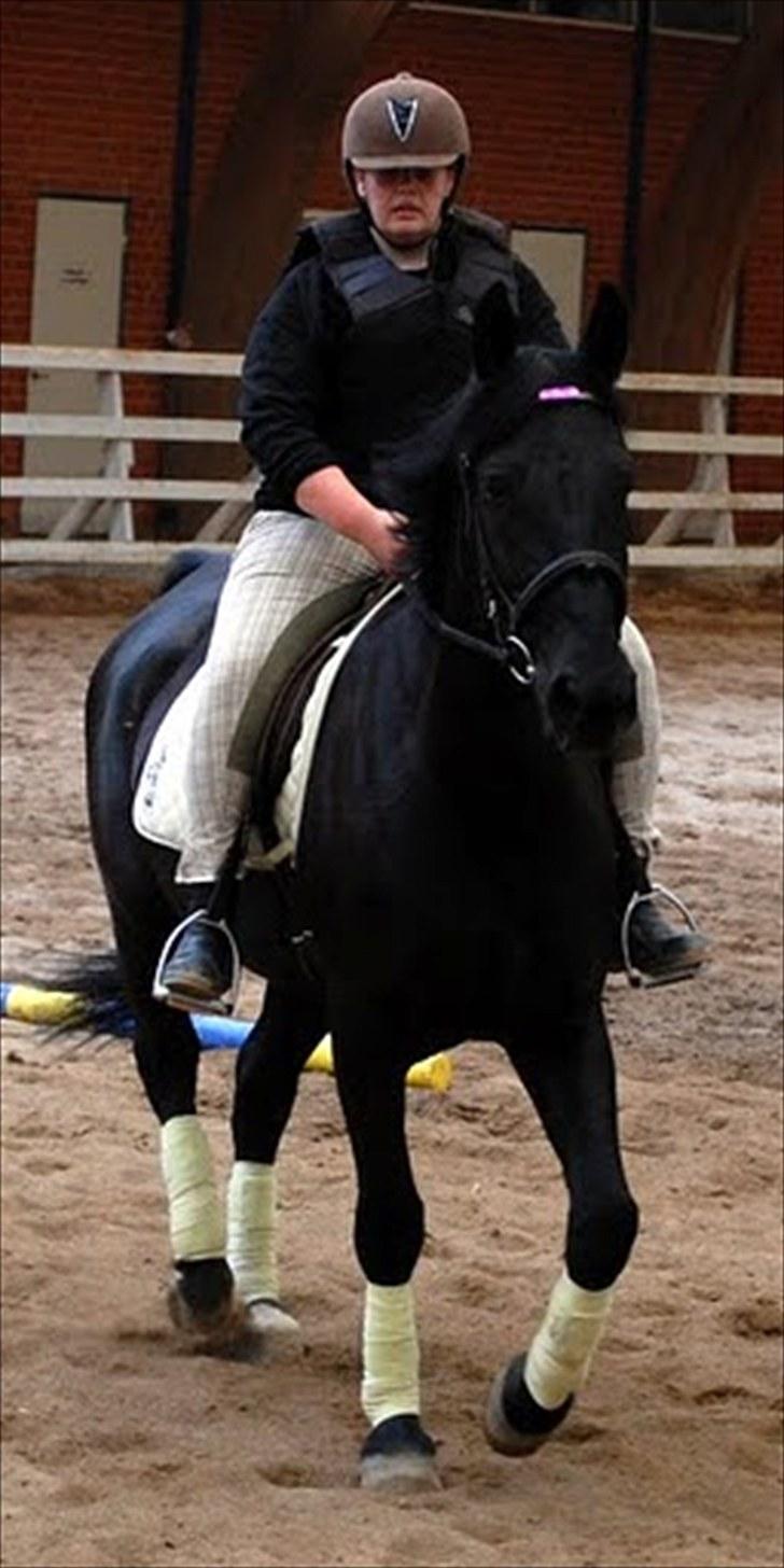 Dressur træning d. 12/6-10 på Pernille + Billeder af Penille ikk billede 3