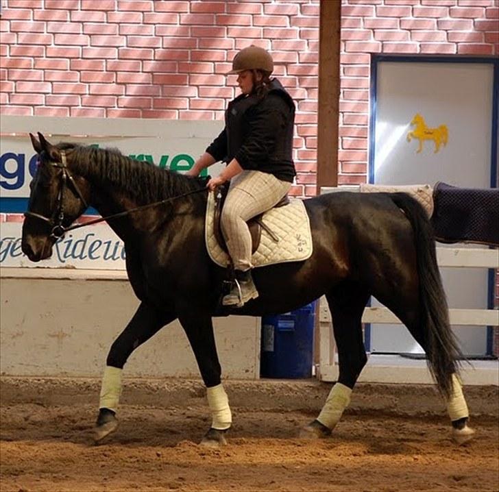 Dressur træning d. 12/6-10 på Pernille + Billeder af Penille ikk billede 6