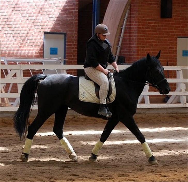 Dressur træning d. 12/6-10 på Pernille + Billeder af Penille ikk billede 7