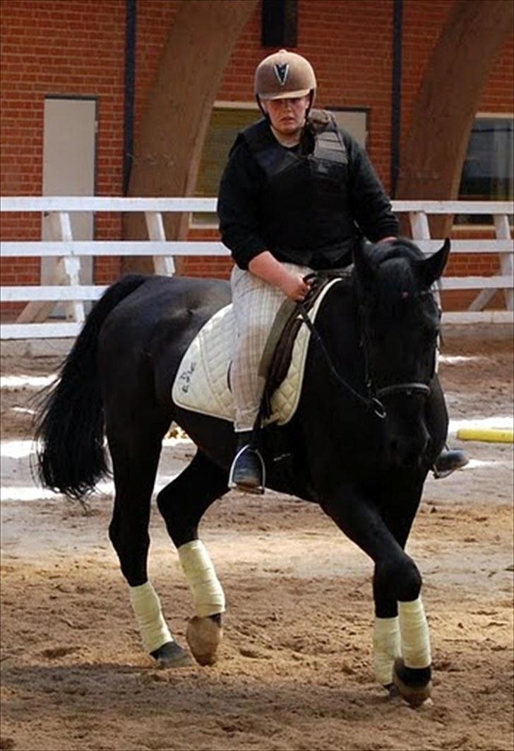 Dressur træning d. 12/6-10 på Pernille + Billeder af Penille ikk billede 8