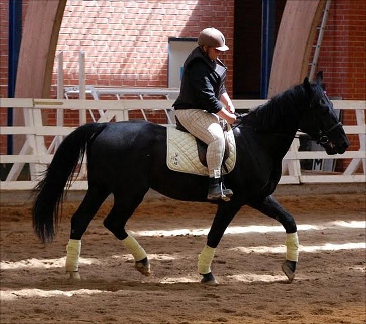 Dressur træning d. 12/6-10 på Pernille + Billeder af Penille ikk billede 9