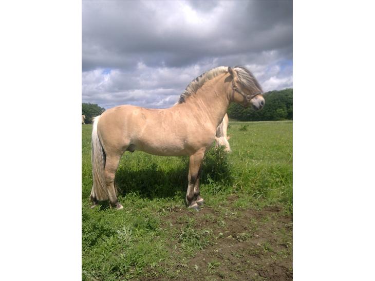 {{currentPhoto.altText}} billede {{currentPhoto.number}}