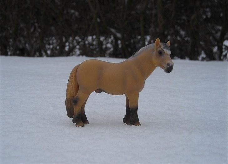 Mine Schleich heste - Fjordhest vallak: Joakim billede 2