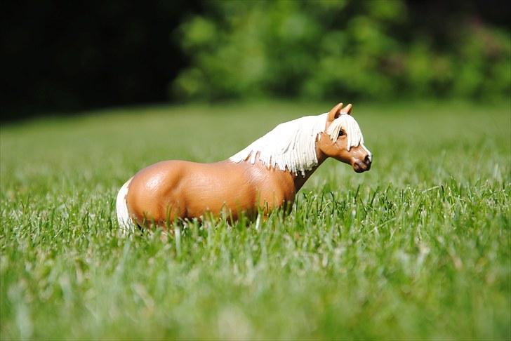 Mine Schleich heste - Haflinger vallak: Sultan billede 6