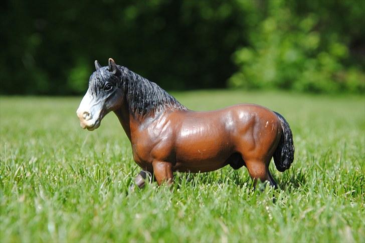 Mine Schleich heste - Shire vallak: Prins billede 8