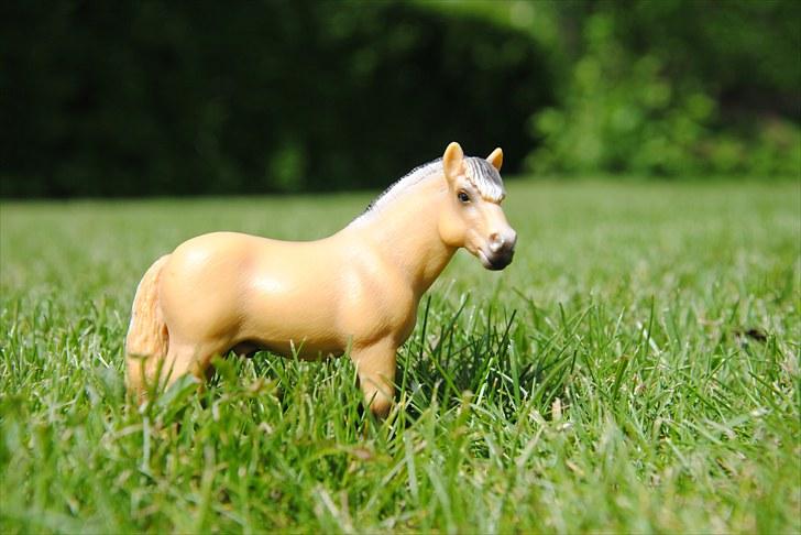 Mine Schleich heste - Fjordhest vallak: Joakim billede 10