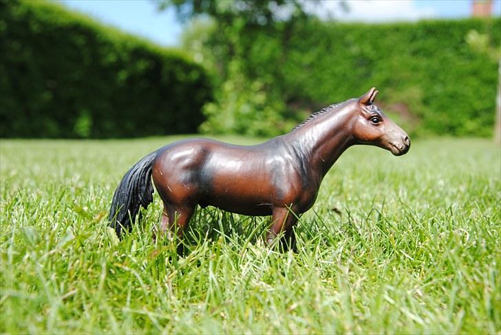 Mine Schleich heste - Fuldblods Vallak: Duke billede 11