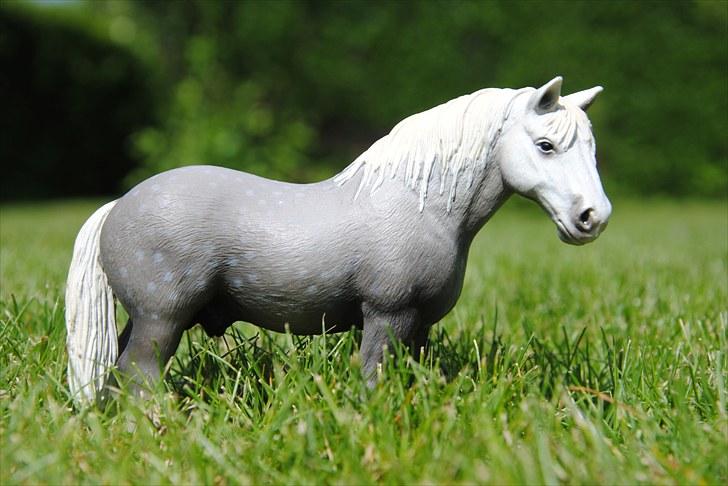 Mine Schleich heste - Percheron Hingst: Frankie billede 12